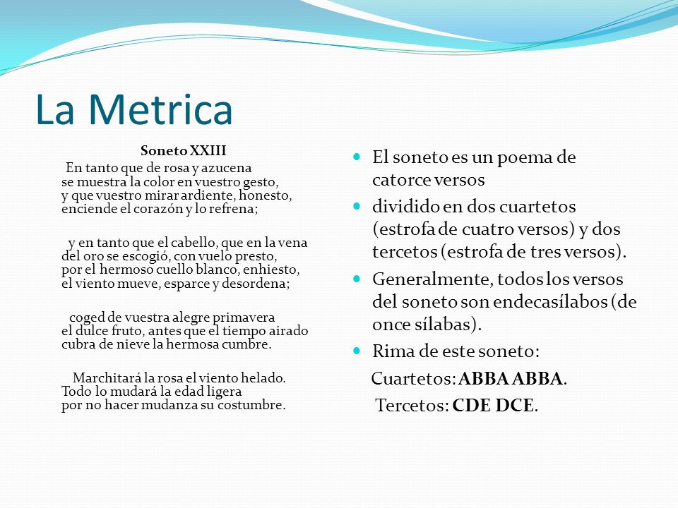 La Metrica El soneto es un poema de catorce versos