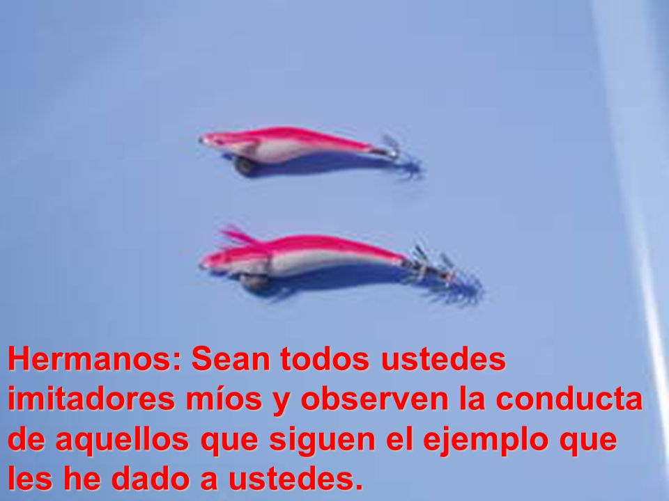 Hermanos: Sean todos ustedes imitadores míos y observen la conducta de aquellos que siguen el ejemplo que les he dado a ustedes.
