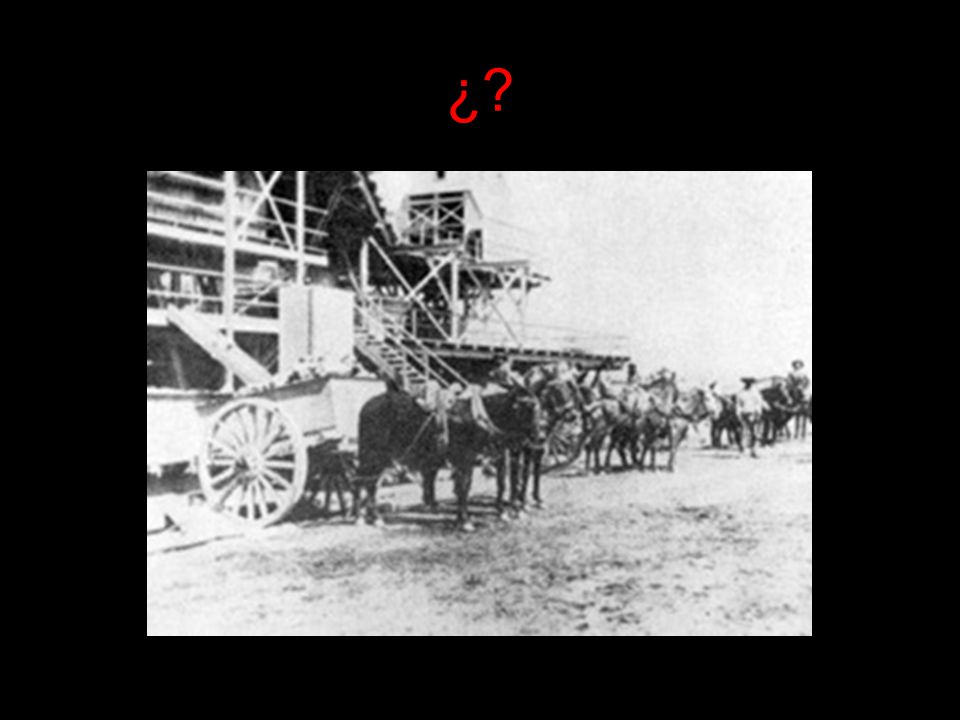 ¿
