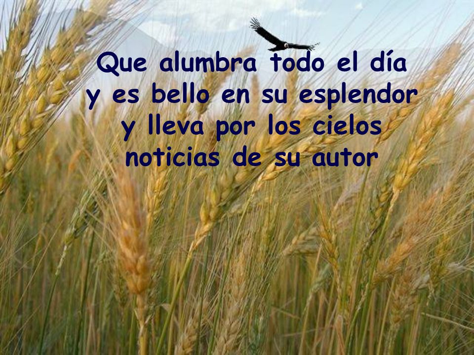 Que alumbra todo el día y es bello en su esplendor y lleva por los cielos noticias de su autor