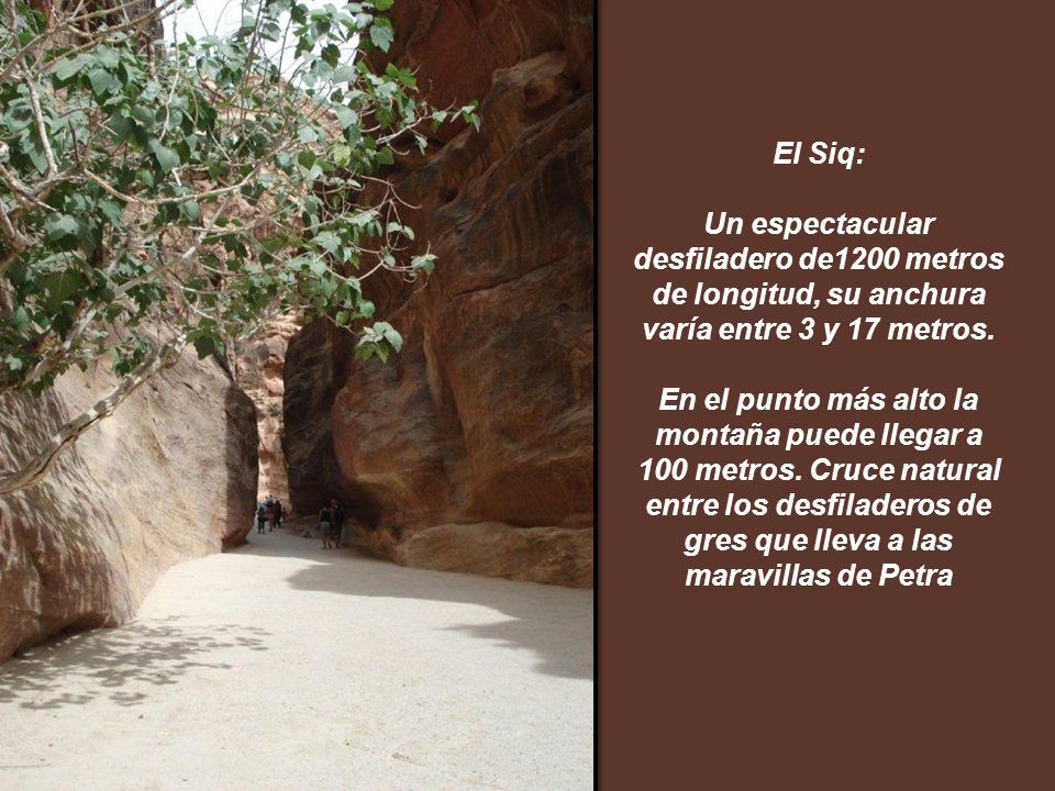 El Siq: Un espectacular desfiladero de1200 metros de longitud, su anchura varía entre 3 y 17 metros.
