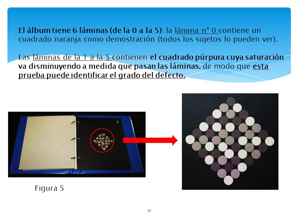 El álbum tiene 6 láminas (de la 0 a la 5): la lámina nº 0 contiene un cuadrado naranja como demostración (todos los sujetos lo pueden ver).