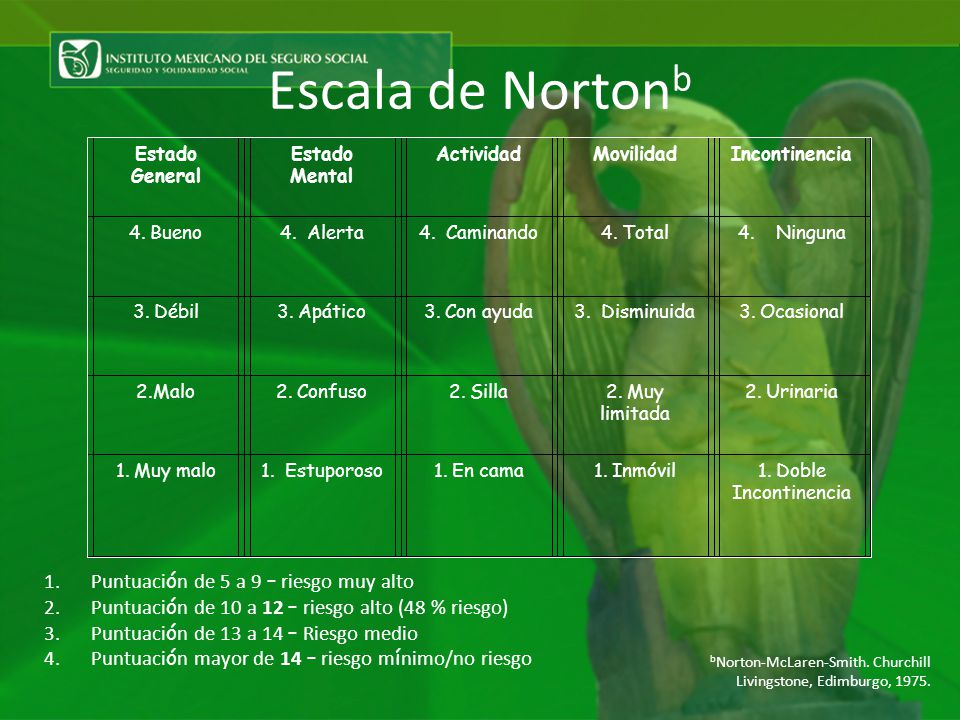 Escala de Nortonb Puntuación de 5 a 9 – riesgo muy alto