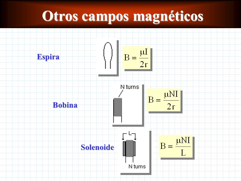 Otros campos magnéticos