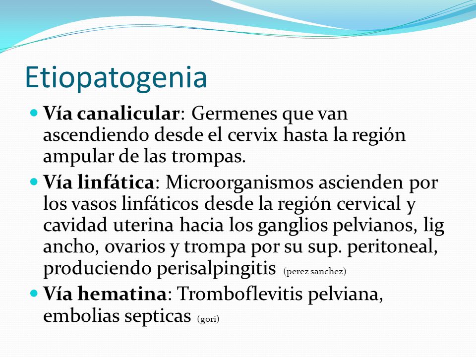 Etiopatogenia Vía canalicular: Germenes que van ascendiendo desde el cervix hasta la región ampular de las trompas.