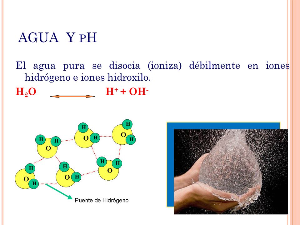 AGUA Y pH El agua pura se disocia (ioniza) débilmente en iones hidrógeno e iones hidroxilo.