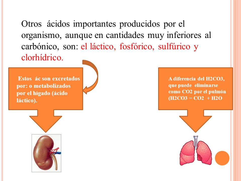 Otros ácidos importantes producidos por el organismo, aunque en cantidades muy inferiores al carbónico, son: el láctico, fosfórico, sulfúrico y clorhídrico.
