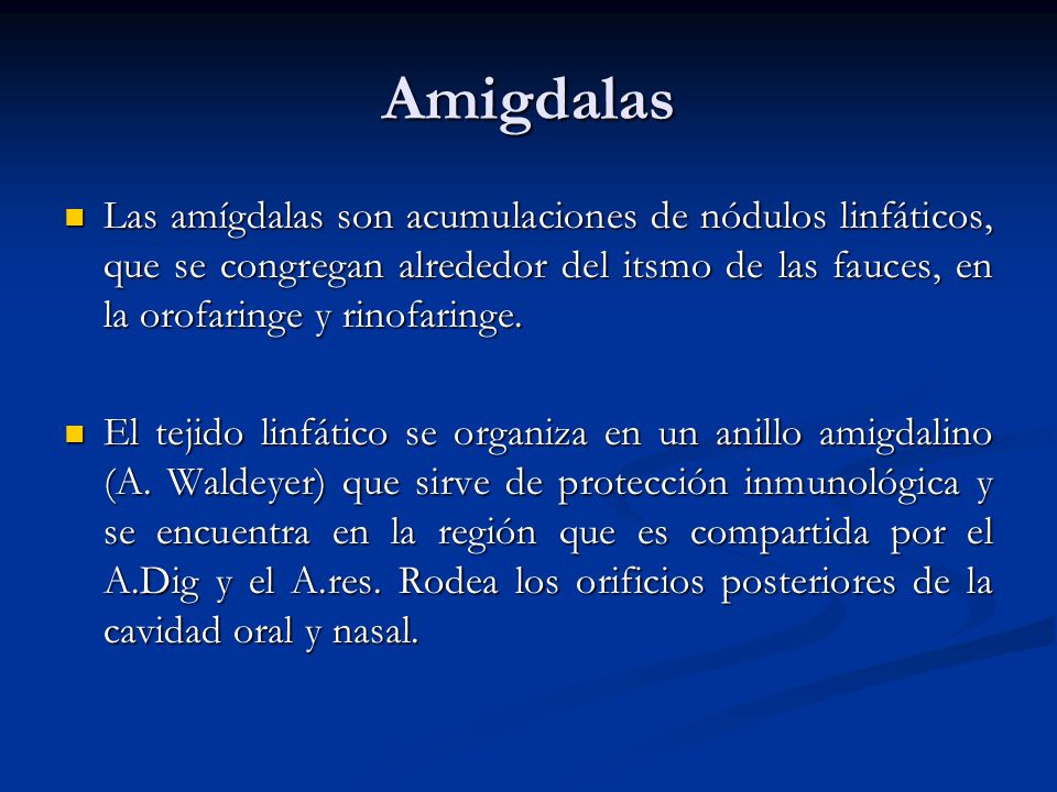 Amigdalas Las amígdalas son acumulaciones de nódulos linfáticos, que se congregan alrededor del itsmo de las fauces, en la orofaringe y rinofaringe.