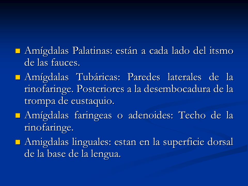 Amígdalas Palatinas: están a cada lado del itsmo de las fauces.