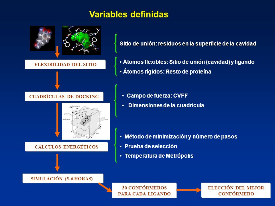 Variables definidas Sitio de unión: residuos en la superficie de la cavidad. Átomos flexibles: Sitio de unión (cavidad) y ligando.