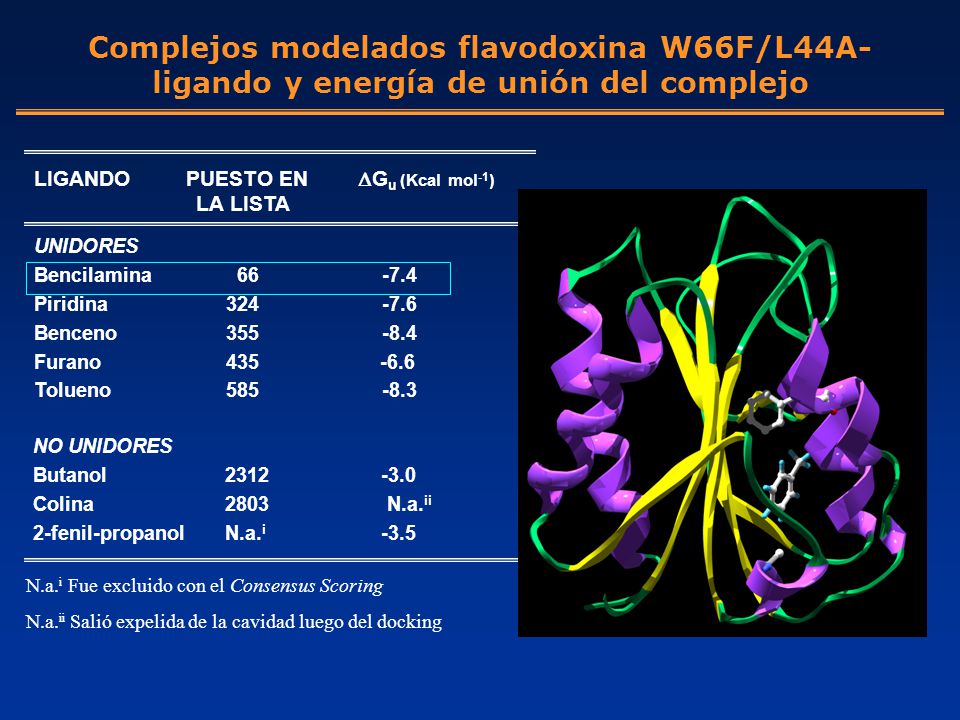 Complejos modelados flavodoxina W66F/L44A-ligando y energía de unión del complejo