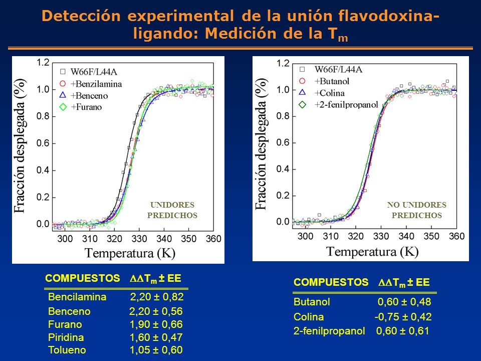Detección experimental de la unión flavodoxina-ligando: Medición de la Tm