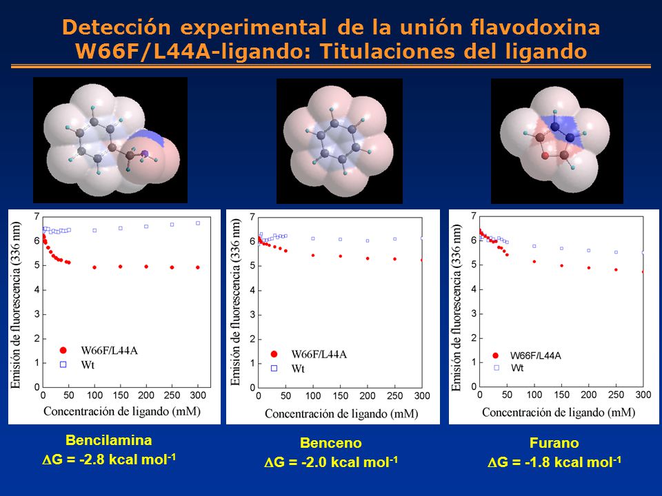 Detección experimental de la unión flavodoxina W66F/L44A-ligando: Titulaciones del ligando