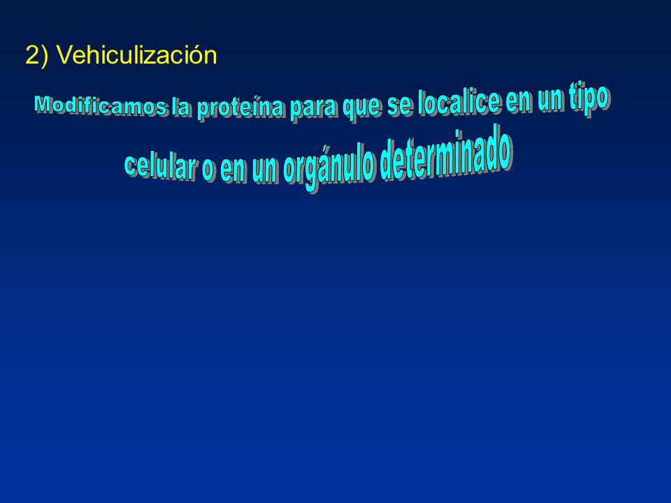 2) Vehiculización Modificamos la proteína para que se localice en un tipo.