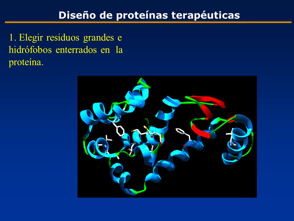 1. Elegir residuos grandes e hidrófobos enterrados en la proteína.