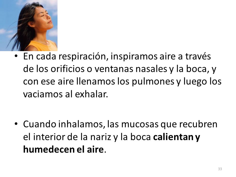 En cada respiración, inspiramos aire a través de los orificios o ventanas nasales y la boca, y con ese aire llenamos los pulmones y luego los vaciamos al exhalar.