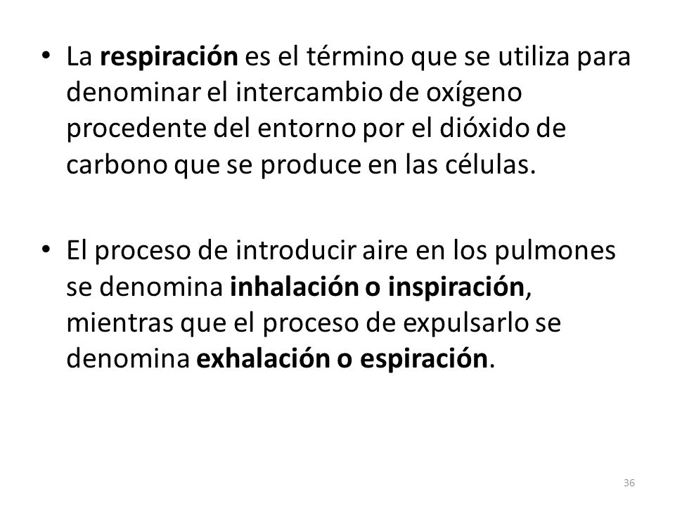 La respiración es el término que se utiliza para denominar el intercambio de oxígeno procedente del entorno por el dióxido de carbono que se produce en las células.
