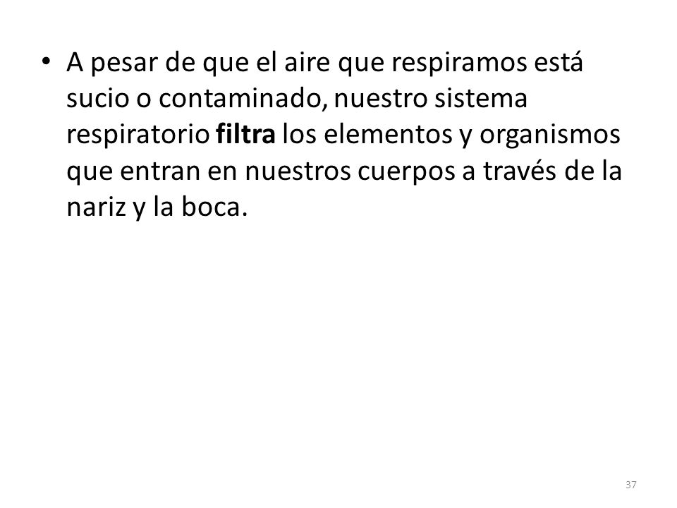A pesar de que el aire que respiramos está sucio o contaminado, nuestro sistema respiratorio filtra los elementos y organismos que entran en nuestros cuerpos a través de la nariz y la boca.