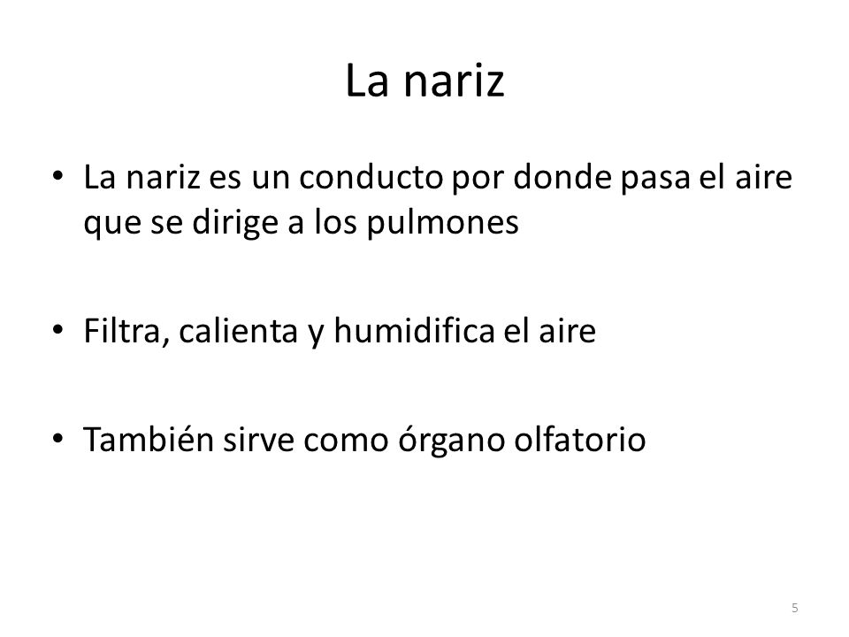 La nariz La nariz es un conducto por donde pasa el aire que se dirige a los pulmones. Filtra, calienta y humidifica el aire.