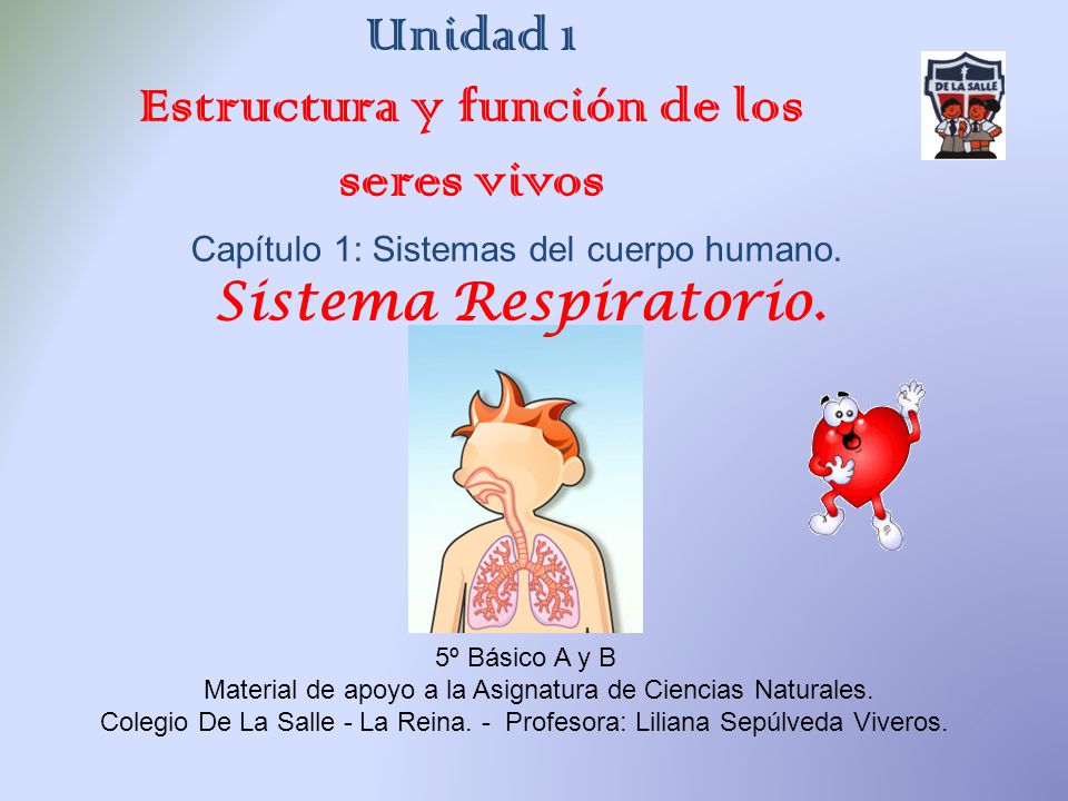 Unidad 1 Estructura y función de los seres vivos Capítulo 1: Sistemas del cuerpo humano.