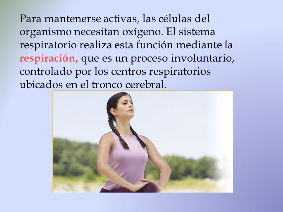 Para mantenerse activas, las células del organismo necesitan oxígeno