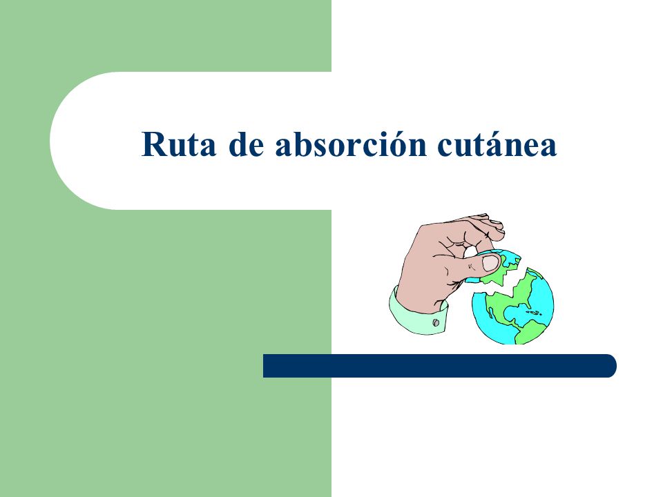 Ruta de absorción cutánea