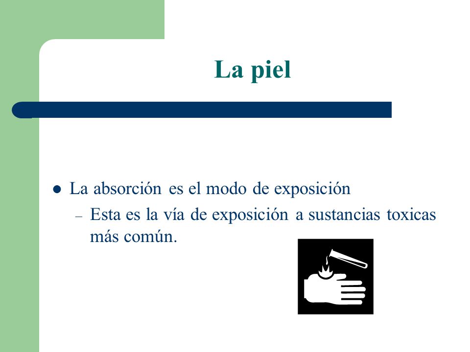 La piel La absorción es el modo de exposición
