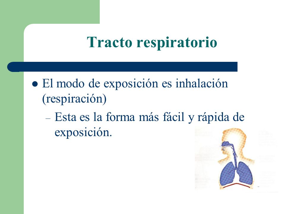 Tracto respiratorio El modo de exposición es inhalación (respiración)