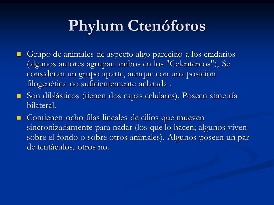 Phylum Ctenóforos