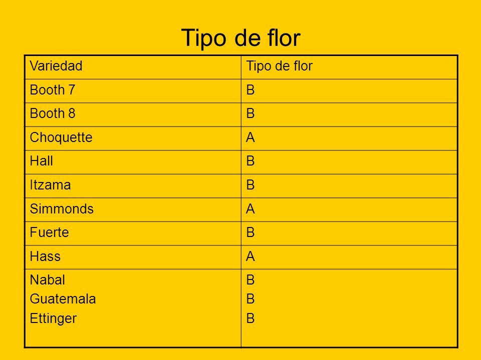 Tipo de flor Variedad Tipo de flor Booth 7 B Booth 8 Choquette A Hall