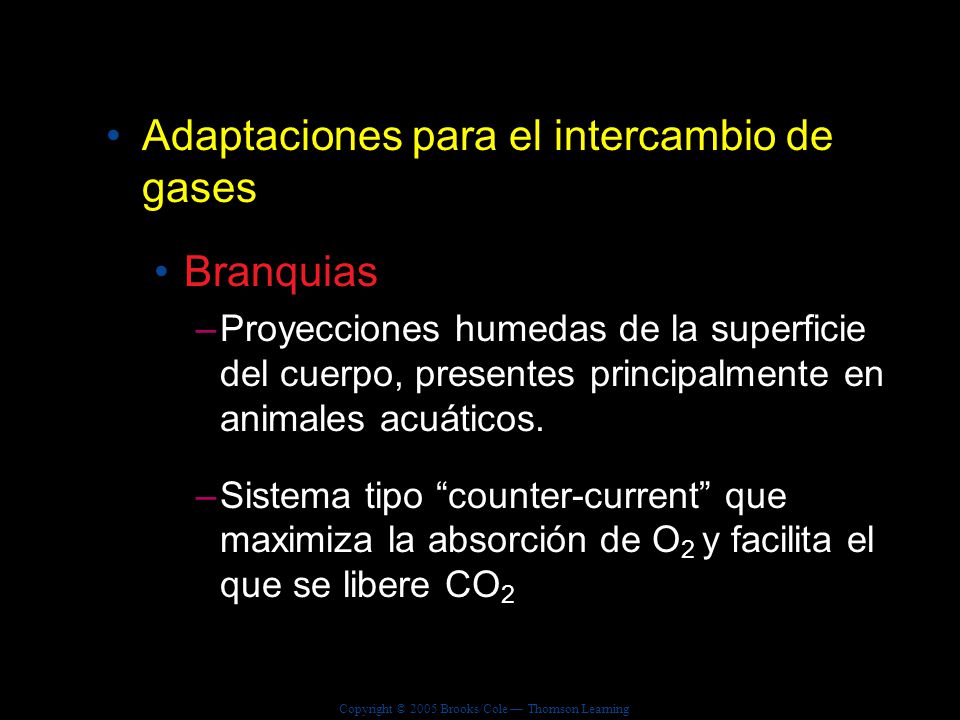 Adaptaciones para el intercambio de gases Branquias
