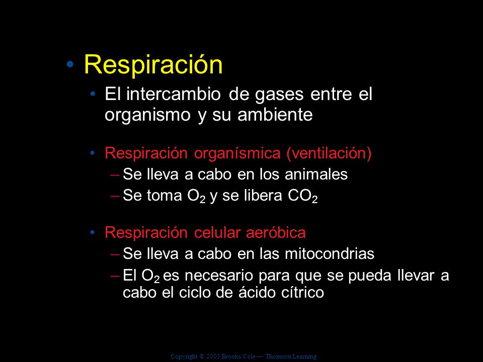Respiración El intercambio de gases entre el organismo y su ambiente