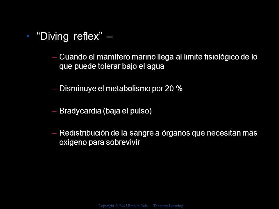 Diving reflex – Cuando el mamífero marino llega al limite fisiológico de lo que puede tolerar bajo el agua.