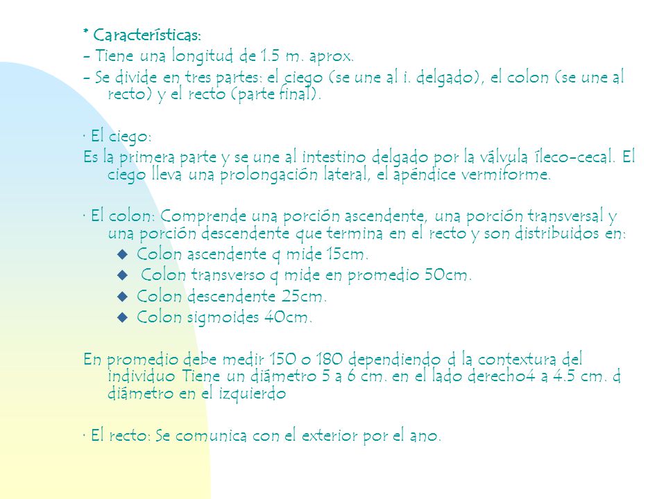* Características: - Tiene una longitud de 1.5 m. aprox.