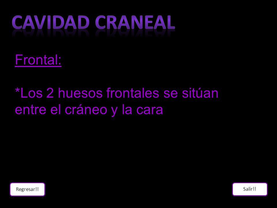 Cavidad craneal Frontal: