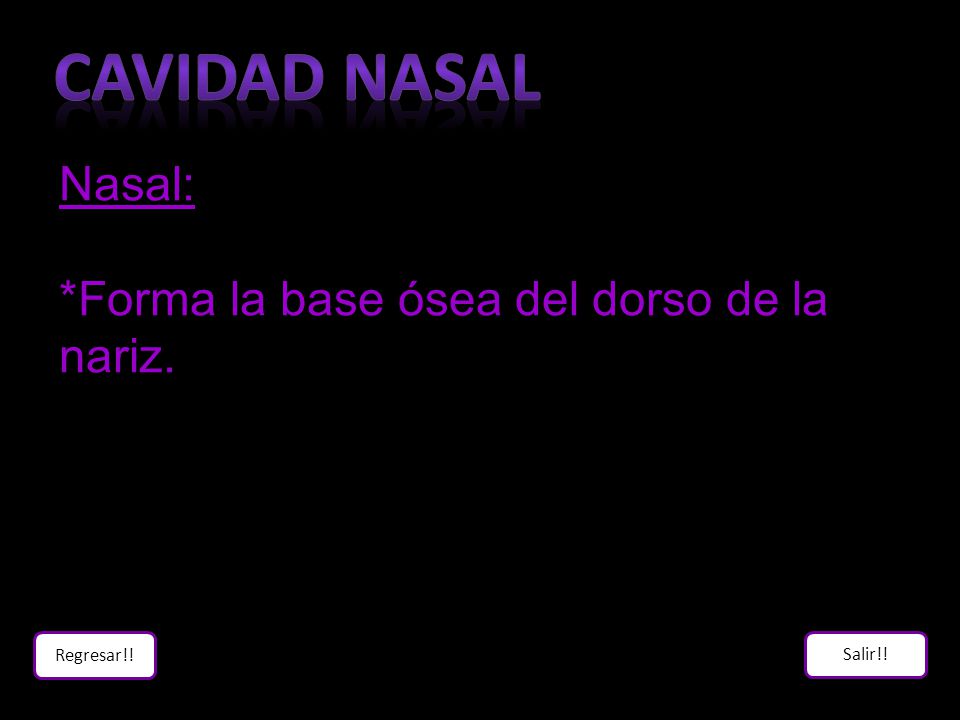 Cavidad Nasal Nasal: *Forma la base ósea del dorso de la nariz.