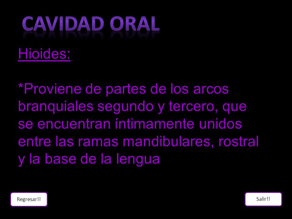 Cavidad Oral Hioides: