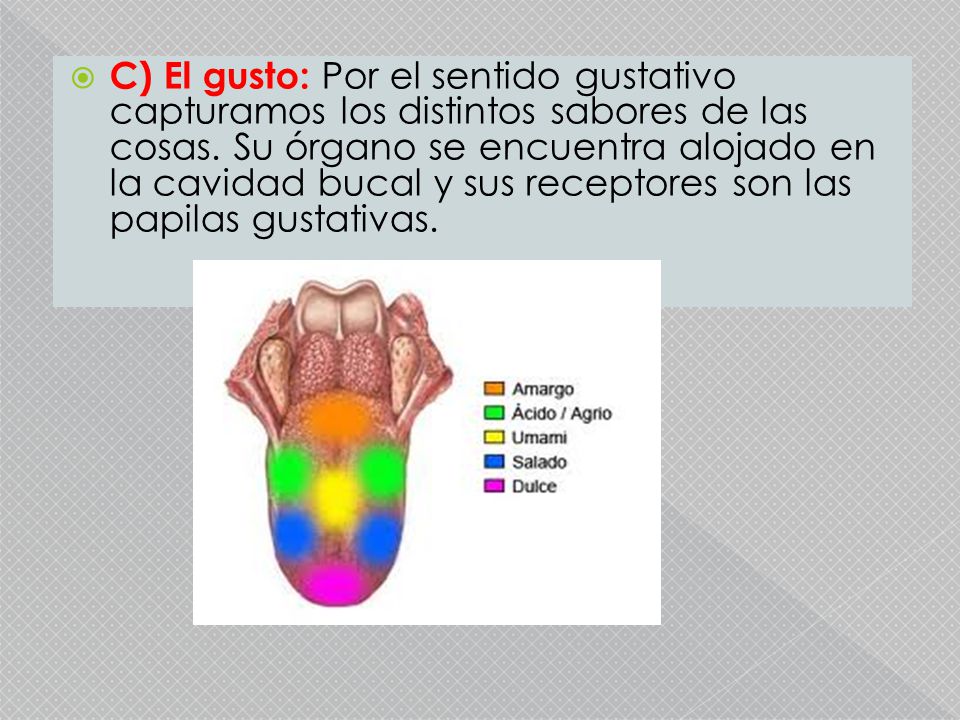 C) El gusto: Por el sentido gustativo capturamos los distintos sabores de las cosas.