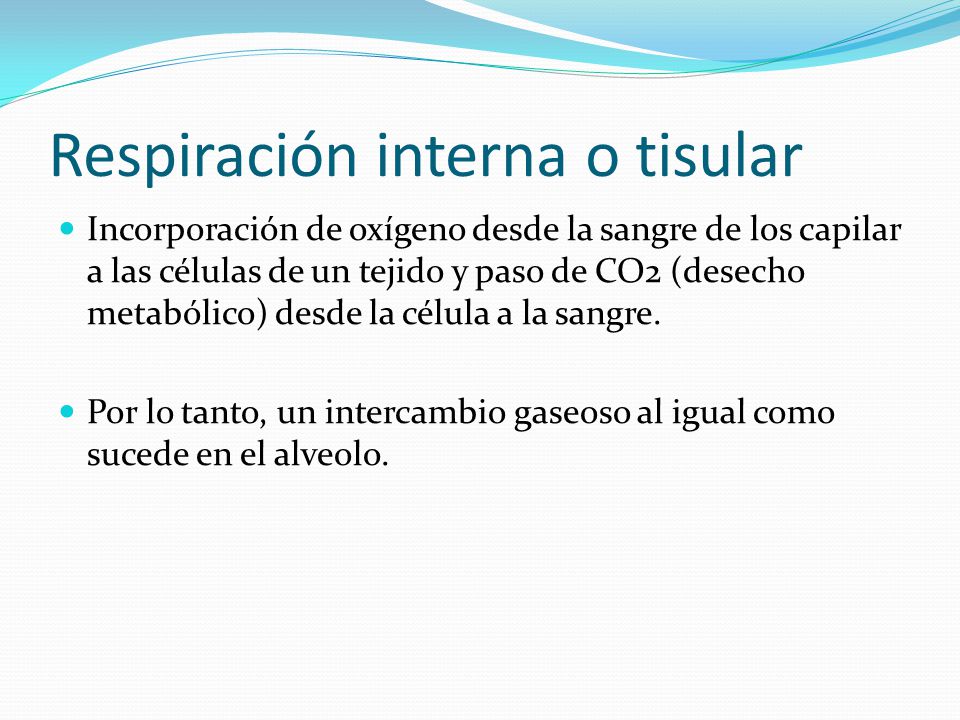 Respiración interna o tisular