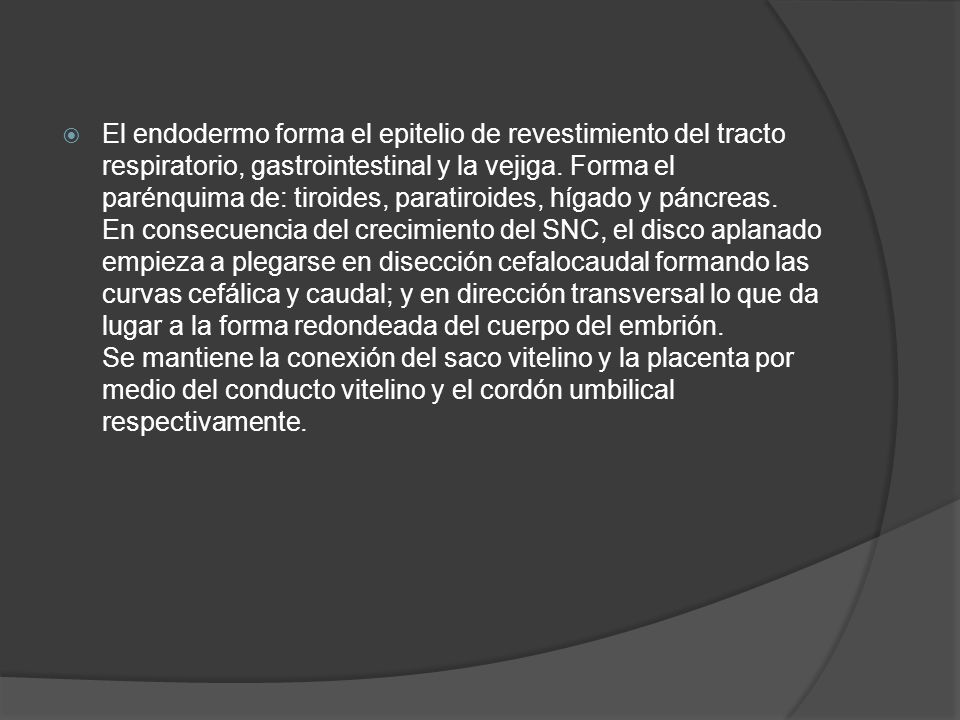 El endodermo forma el epitelio de revestimiento del tracto respiratorio, gastrointestinal y la vejiga.