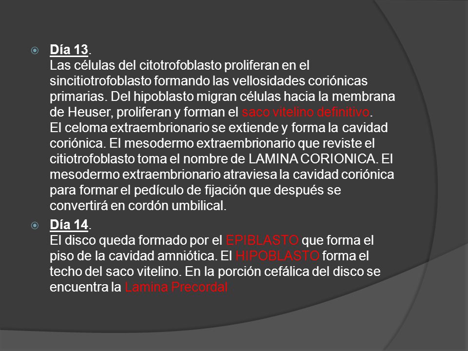 Día 13. Las células del citotrofoblasto proliferan en el sincitiotrofoblasto formando las vellosidades coriónicas primarias. Del hipoblasto migran células hacia la membrana de Heuser, proliferan y forman el saco vitelino definitivo. El celoma extraembrionario se extiende y forma la cavidad coriónica. El mesodermo extraembrionario que reviste el citiotrofoblasto toma el nombre de LAMINA CORIONICA. El mesodermo extraembrionario atraviesa la cavidad coriónica para formar el pedículo de fijación que después se convertirá en cordón umbilical.