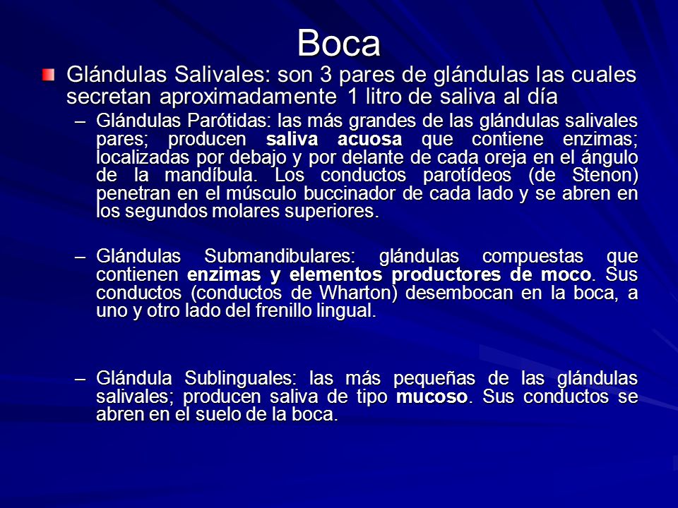 Boca Glándulas Salivales: son 3 pares de glándulas las cuales secretan aproximadamente 1 litro de saliva al día.