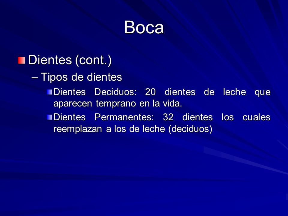 Boca Dientes (cont.) Tipos de dientes