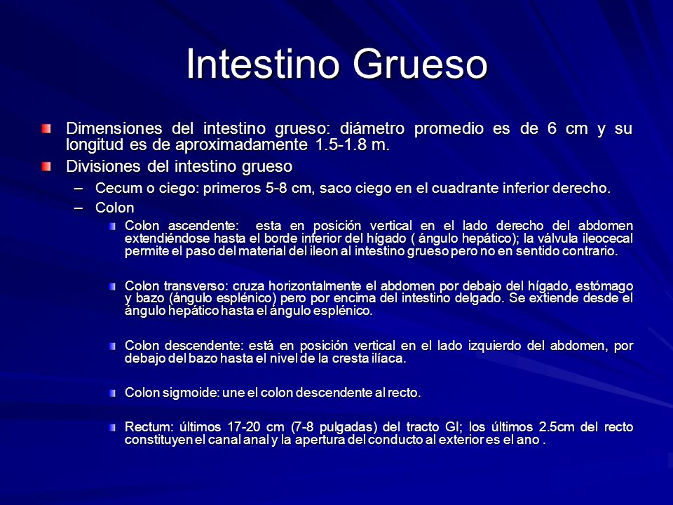Intestino Grueso Dimensiones del intestino grueso: diámetro promedio es de 6 cm y su longitud es de aproximadamente m.