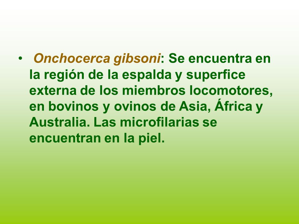 Onchocerca gibsoni: Se encuentra en la región de la espalda y superfice externa de los miembros locomotores, en bovinos y ovinos de Asia, África y Australia.