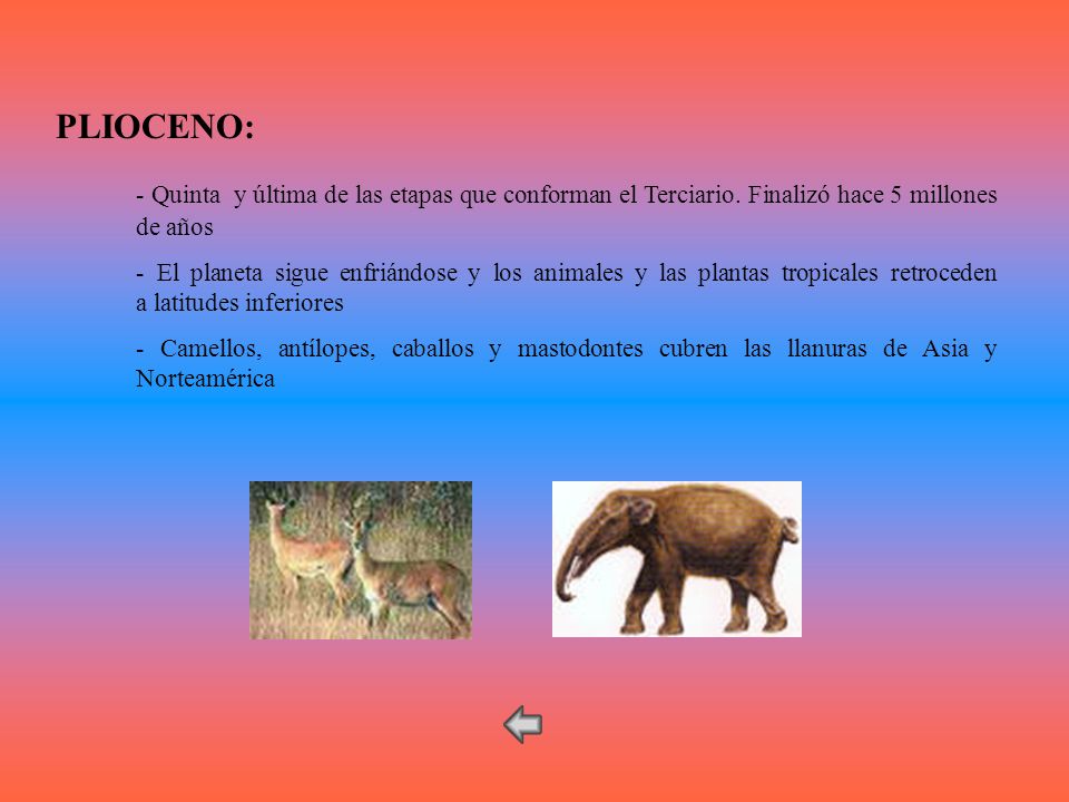 PLIOCENO: - Quinta y última de las etapas que conforman el Terciario. Finalizó hace 5 millones de años.