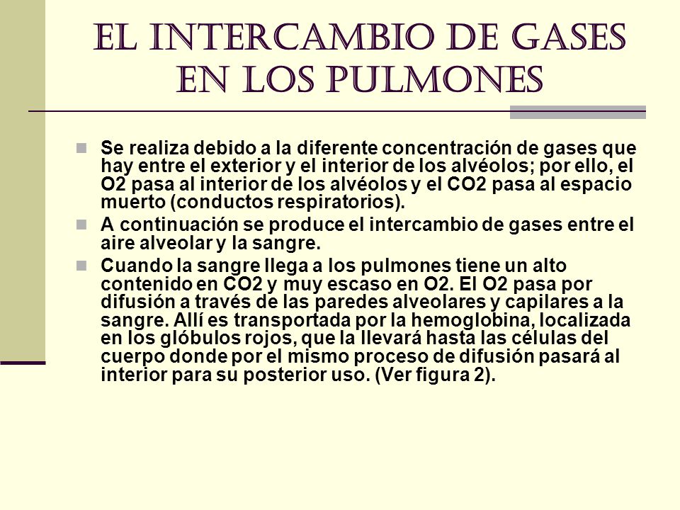 El intercambio de gases en los pulmones