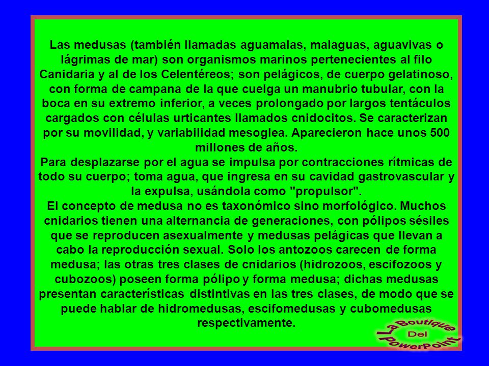 Las medusas (también llamadas aguamalas, malaguas, aguavivas o lágrimas de mar) son organismos marinos pertenecientes al filo Canidaria y al de los Celentéreos; son pelágicos, de cuerpo gelatinoso, con forma de campana de la que cuelga un manubrio tubular, con la boca en su extremo inferior, a veces prolongado por largos tentáculos cargados con células urticantes llamados cnidocitos. Se caracterizan por su movilidad, y variabilidad mesoglea. Aparecieron hace unos 500 millones de años.