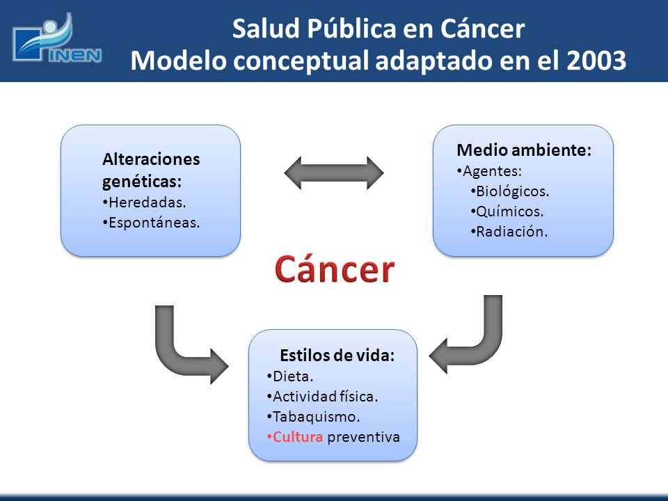 Salud Pública en Cáncer Modelo conceptual adaptado en el 2003