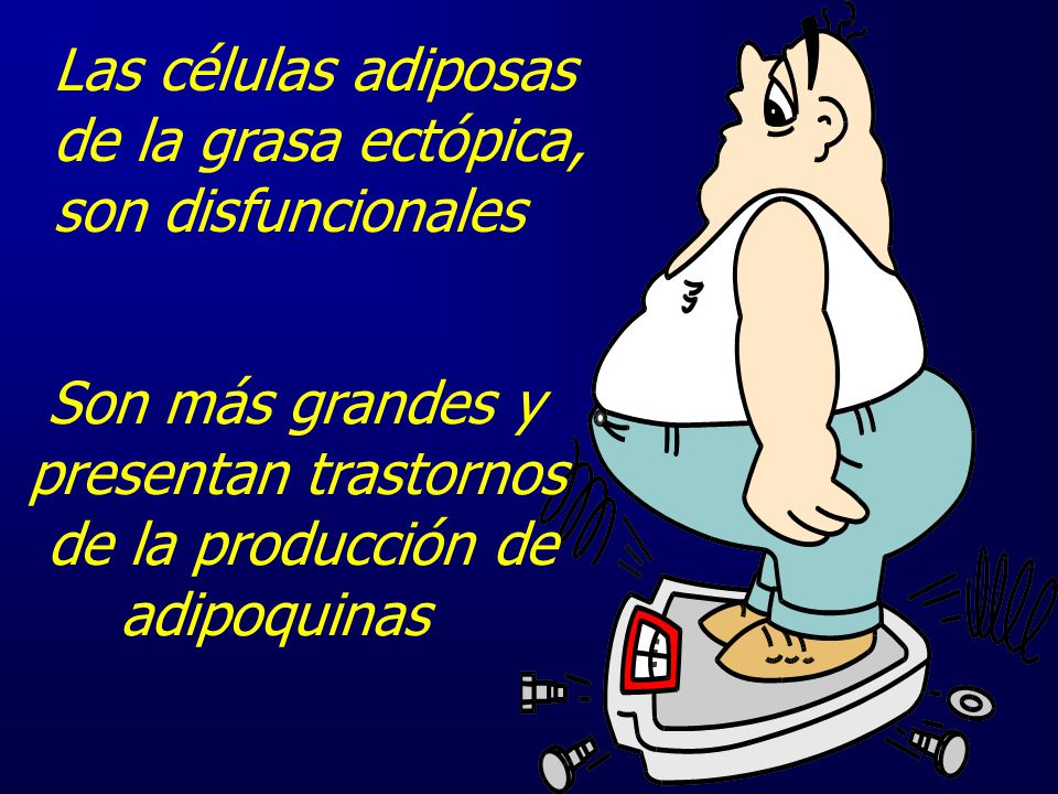 Las células adiposas de la grasa ectópica, son disfuncionales. Son más grandes y. presentan trastornos.